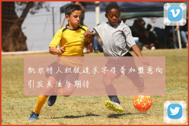 凯尔特人积极追求字母哥加盟意向引发关注与期待