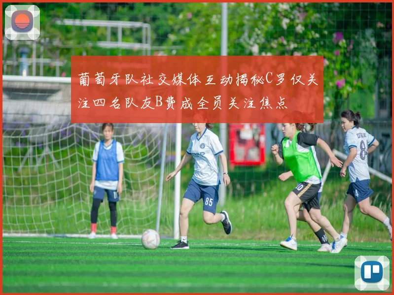 葡萄牙队社交媒体互动揭秘C罗仅关注四名队友B费成全员关注焦点